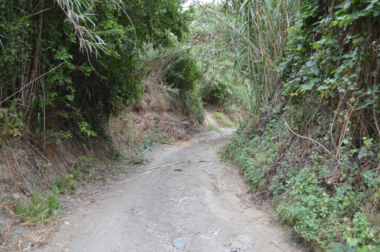 Casa Rural En Almayate Bajo Εξωτερικό φωτογραφία